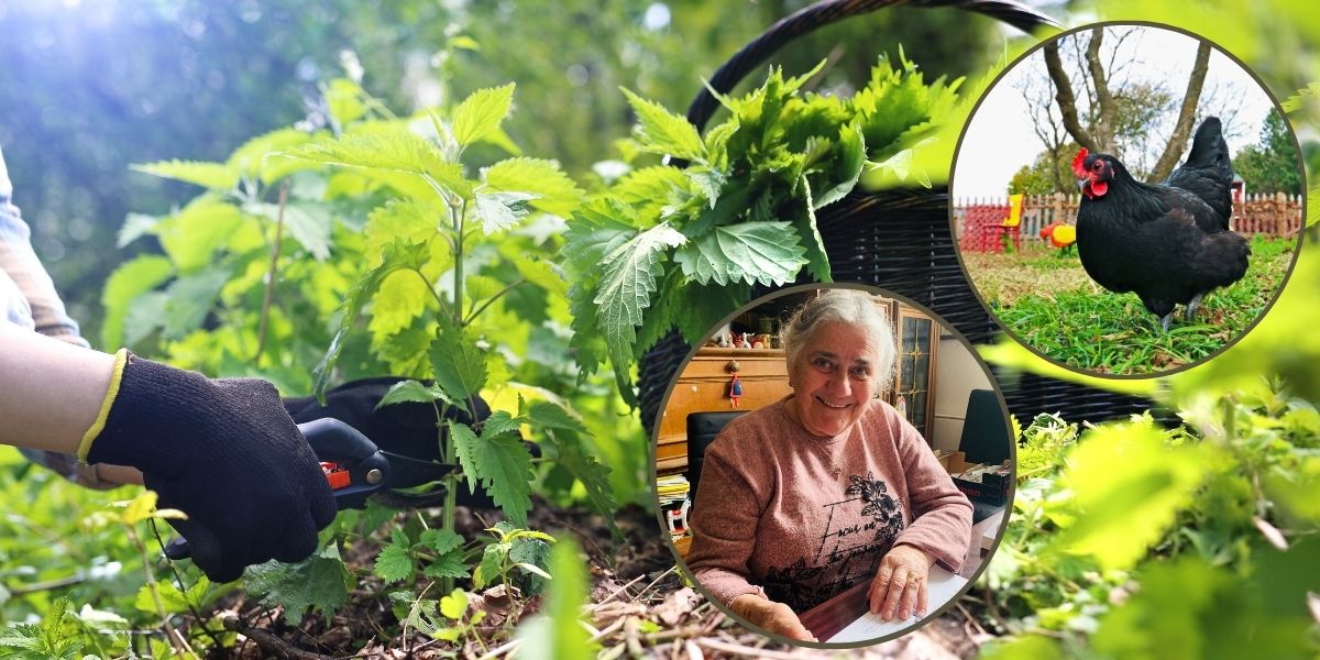 Veliki četvrtak: Kopriva, nesoljeni maslac, jaja crne kokoši usko su vezani uz današnji dan, doznajte na koji način