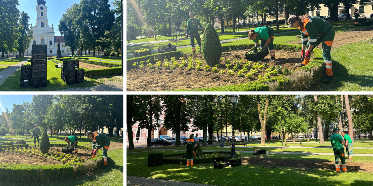 [FOTO] U srcu grada radi se punom parom - pogledajte koje će cvijeće zamijeniti tulipane