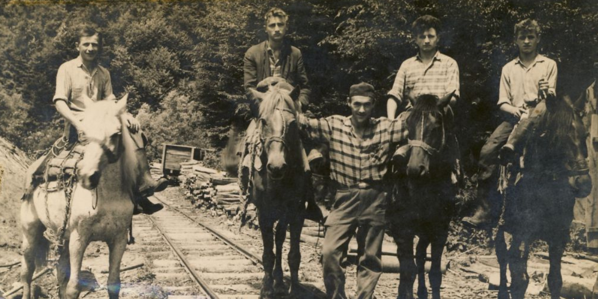 Zbog posla se nekad selilo i više nego danas, a znate li zašto su ovi radnici došli u naše krajeve?