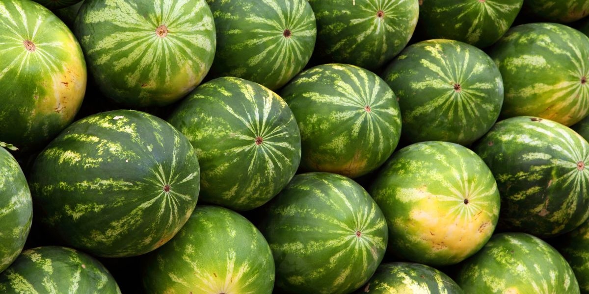 Osim što je bogata vitaminima, ova voćna poslastica poznata je i kao prirodni eliksir, evo zašto