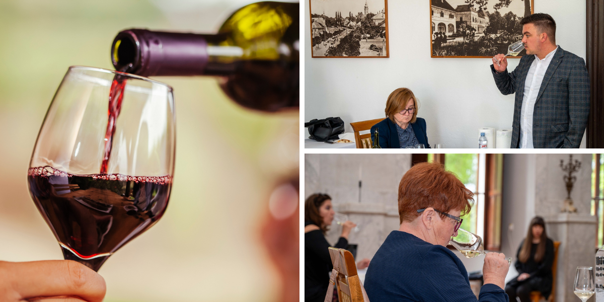 Vinski trijumf u Daruvaru: Mali vinar srušio velike igrače, a najveće iznenađenje je vino koje nije od grožđa