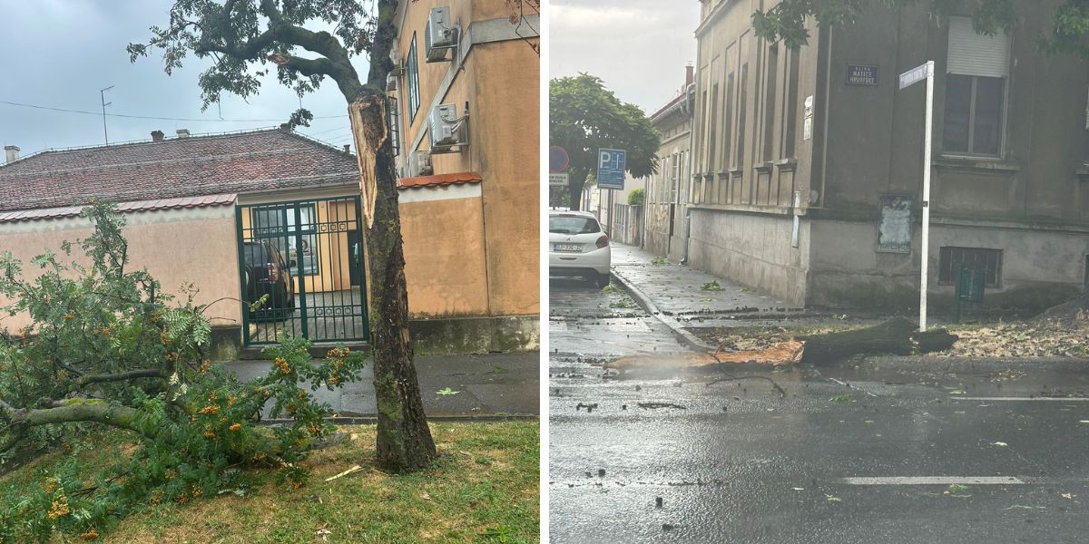 [FOTO] U centru grada srušena stabla