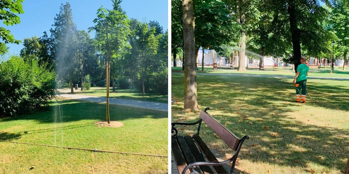 Ovo je trik zbog kojeg je park u centru grada zelen usred paklenih vrućina, koristite li ga i vi?