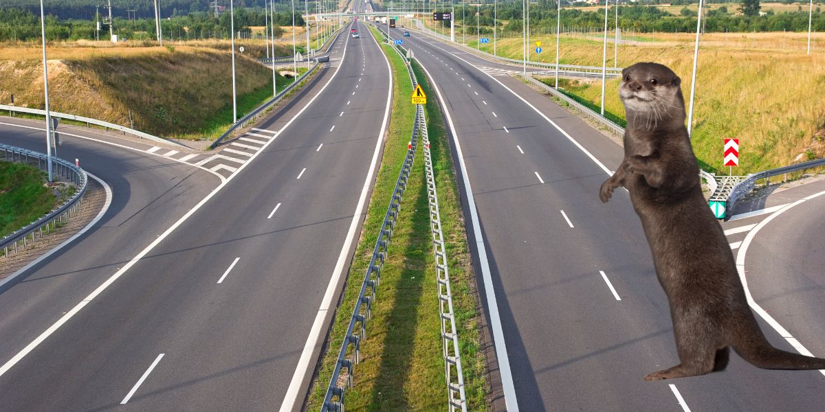 Zbog vidri i obične lisanke 30 km buduće slavonske autoceste mora na dodatni test koji će trajati mjesecima