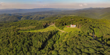 Šumski festival vraća u svom najboljem izdanju: Nastupa velika glazbena legenda