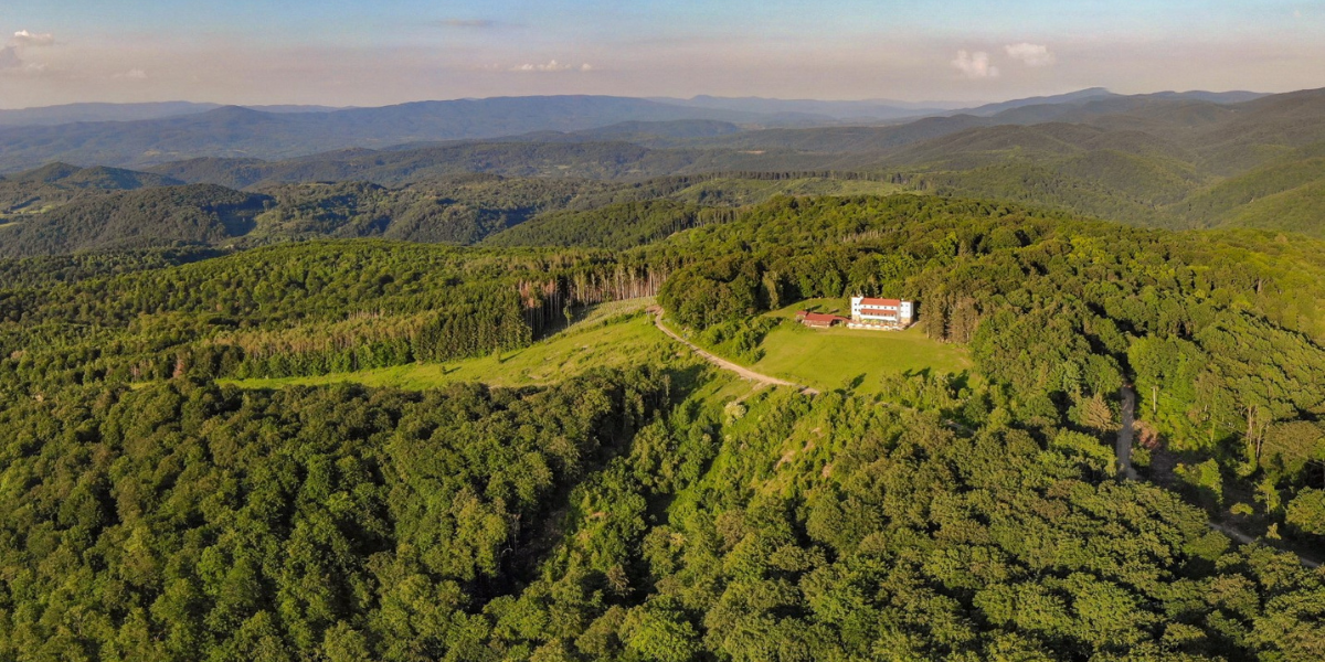 Šumski festival vraća u svom najboljem izdanju: Nastupa velika glazbena legenda