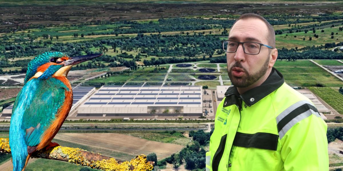 Projekt težak 140 milijuna eura neće smetati vodomarima, čigrama i prutkama. Evo zašto je izvrsna vijest za Tomaševića