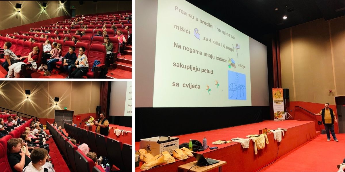Znate li koliko pčele moraju preletjeti za jednu teglicu meda? Kilometraža je fascinantna...