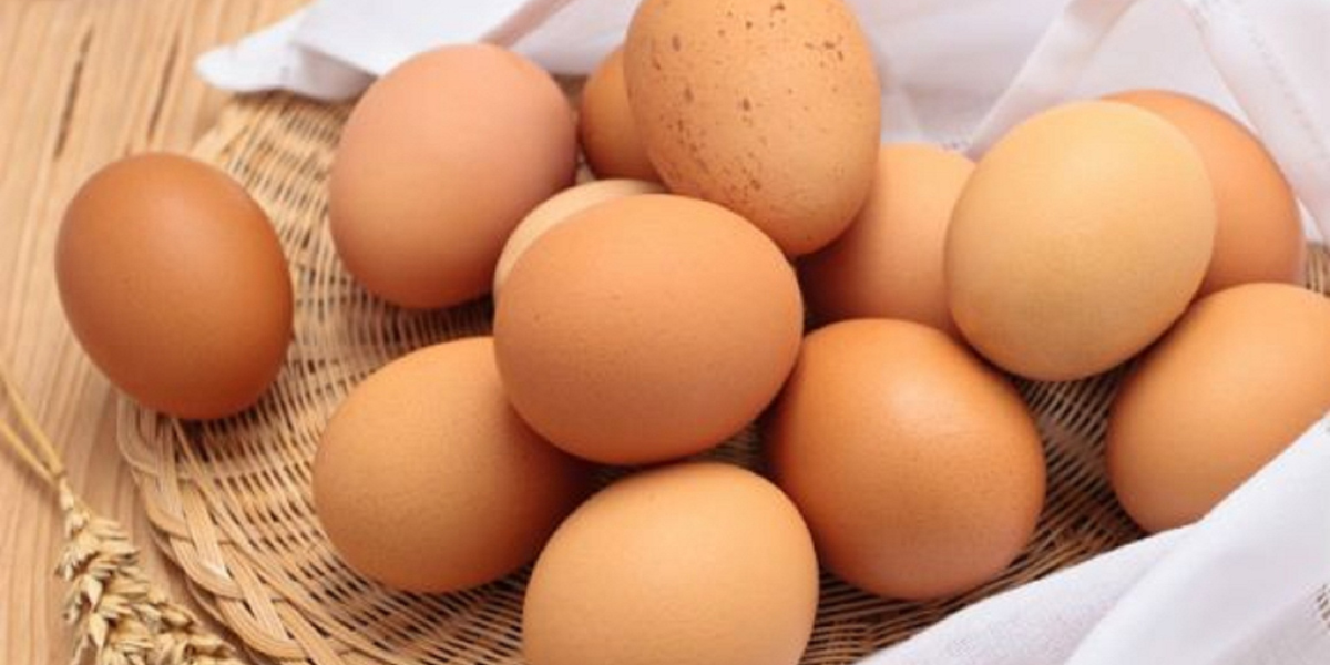 Spašavanje domaćih jaja: Hrvatski farmeri ustaju protiv uništavanja domaće proizvodnje