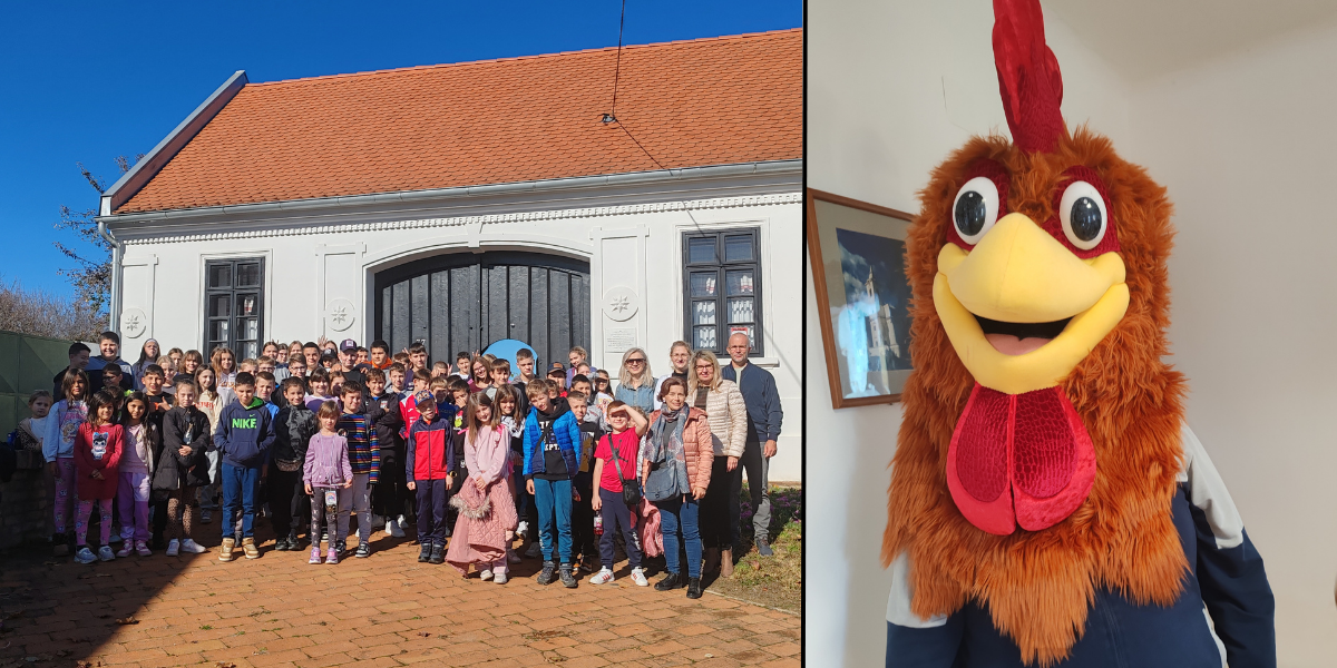 Zašto je važan pijetao? Oni su saznali na posebnom izletu