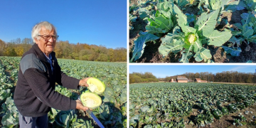 Zavirili smo u skriveno carstvo zelja: ‘Ovo još nismo doživjeli u 36 godina rada!’