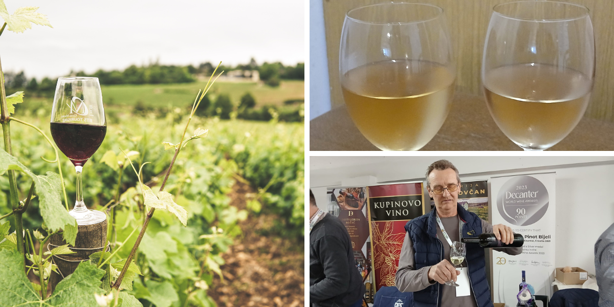 Znate li da postoje i bezalkoholna vina, biste li nazdravili njime?