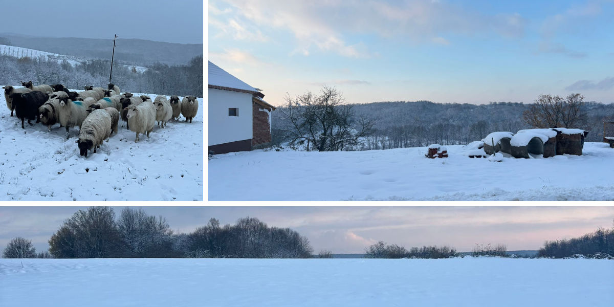 Pogledajte gdje je snijeg odlučio ostati, prizori su idilični!