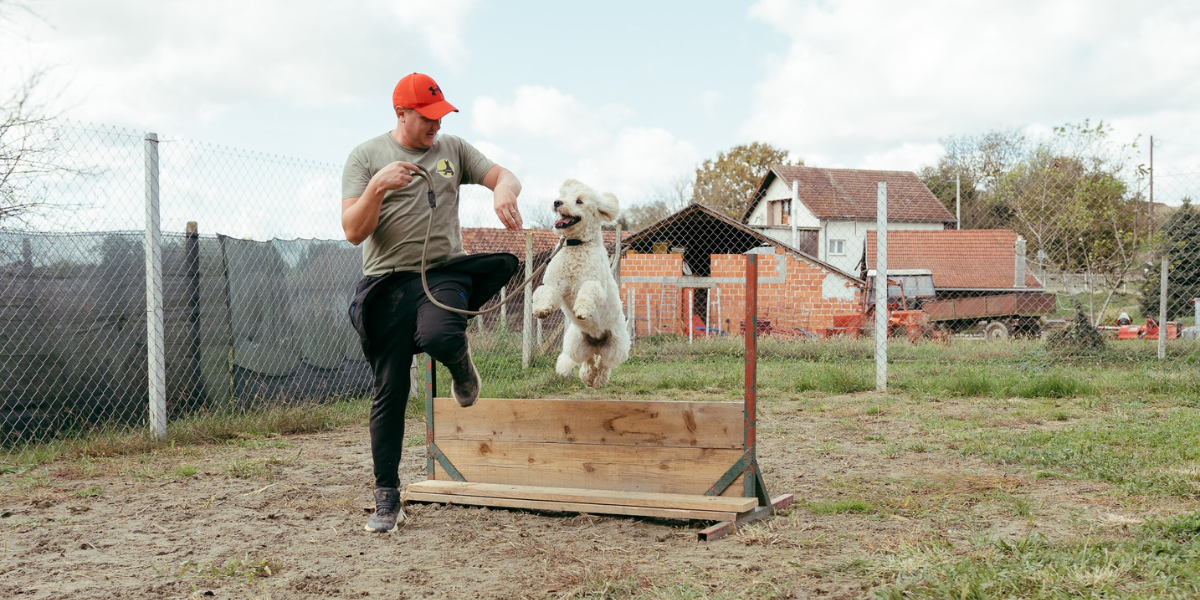 Kako odgojiti psa? Ovo su rani znakovi koji pokazuju da pas može biti problematičan