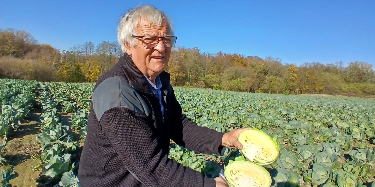 Poznati OPG-ovac dijeli 10 tona zelja: 'Srce me boli od pomisli da ga zaorem'