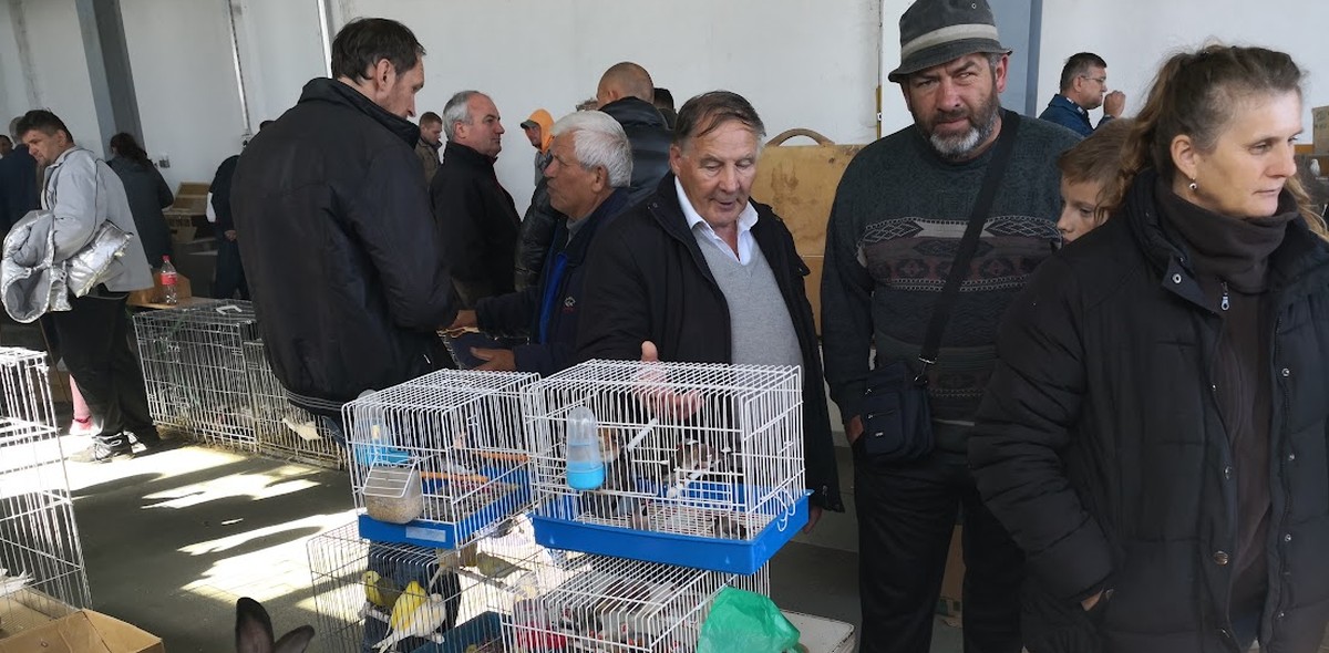 Otvorena izložba peradi i kunića u Gudovcu