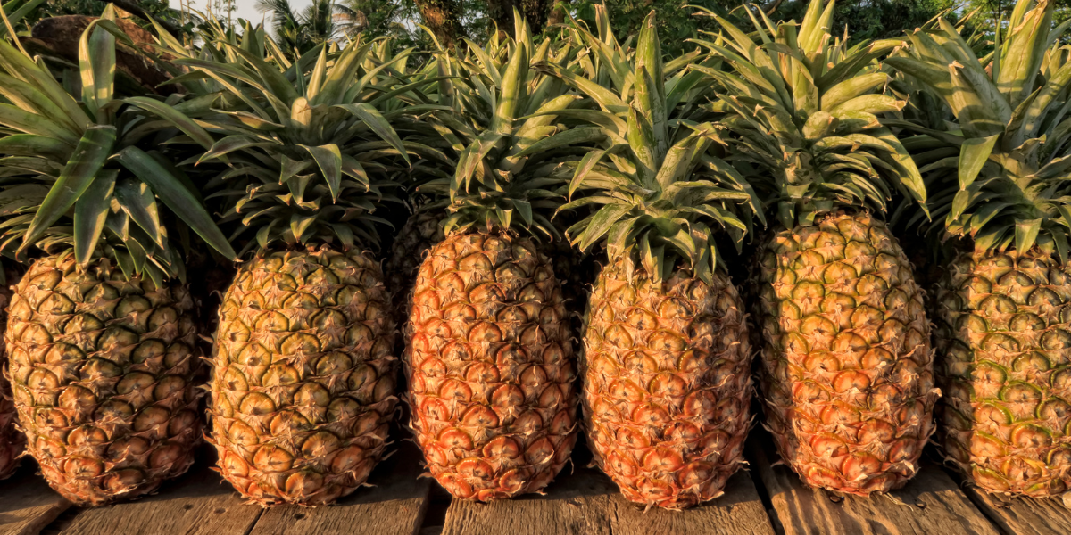 Znate li što je avionski ananas? Evo zašto je hit među gurmanima