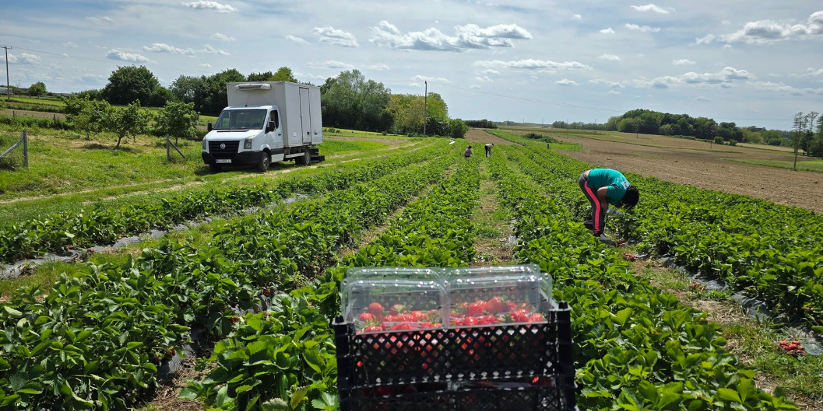 Savršena prilika za posao: Puno radno vrijeme, plaćeni troškovi prijevoza, a objavljena je i plaća