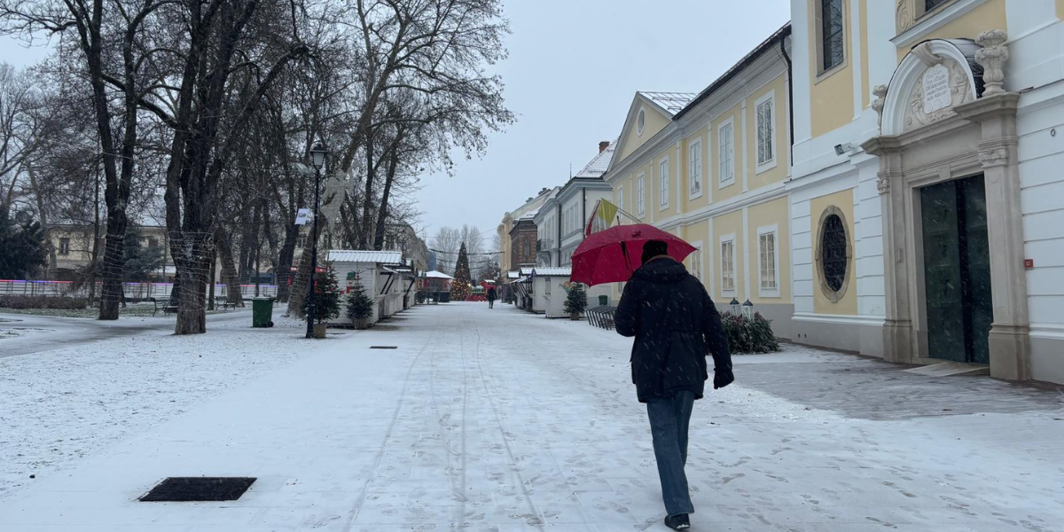 Zima pokazuje zube: Snijeg prekrio veći dio zemlje, evo do kada će potrajati hladni val