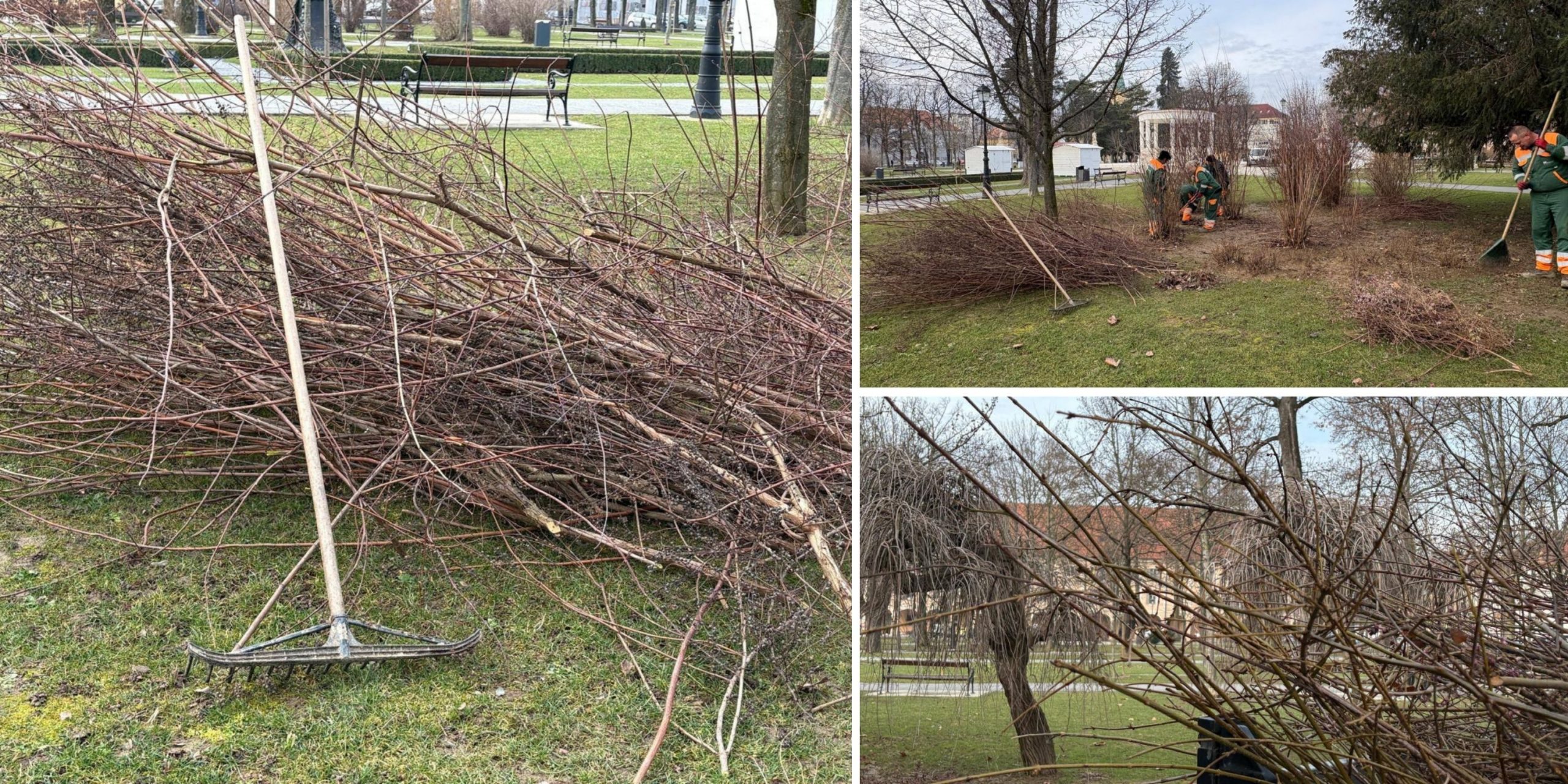 Bliži se besplatan odvoz granja, zabilježite datume