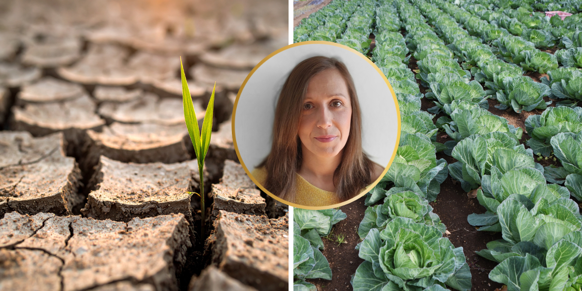 Znanost i poljoprivreda udružili snage protiv suše, mogu li pronaći lijek?