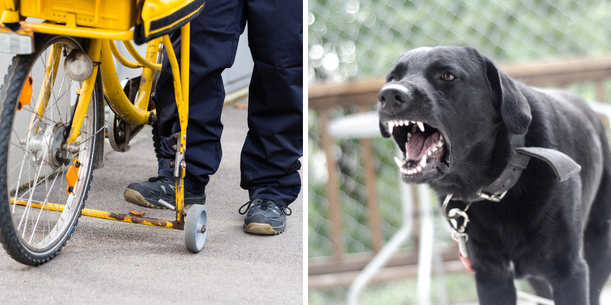 Pas ugrizao poštara, vlasnik psa zaradio 'čestitku'