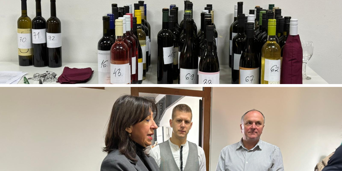 Rekordna godina, velika očekivanja: Tko ima najbolje mlado vino u Hrvatskoj?
