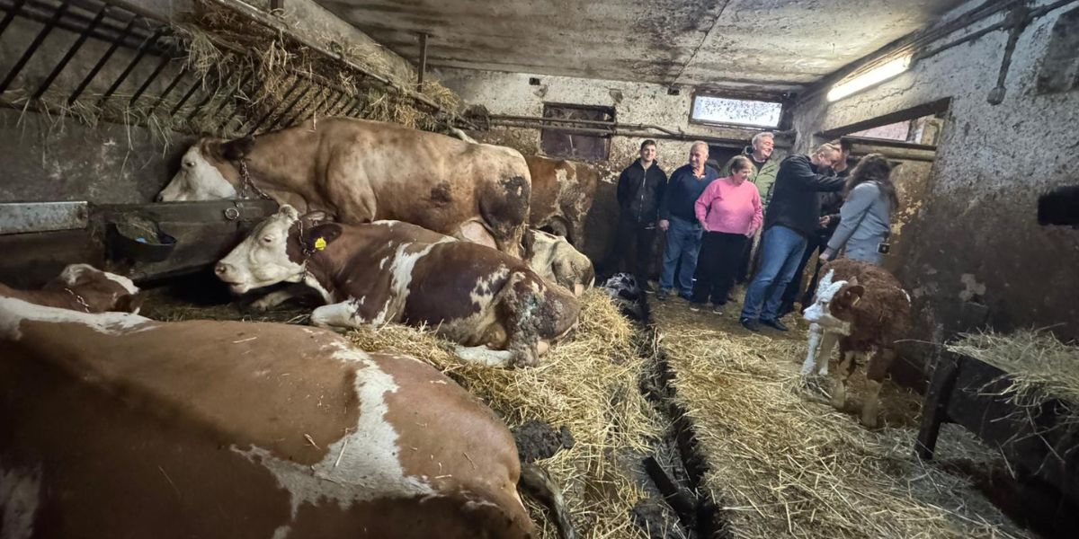 Ustaju prije zore, rade dva posla i spašavaju svoje imanje: Ovo je priča hrabre obitelji Karlovčan