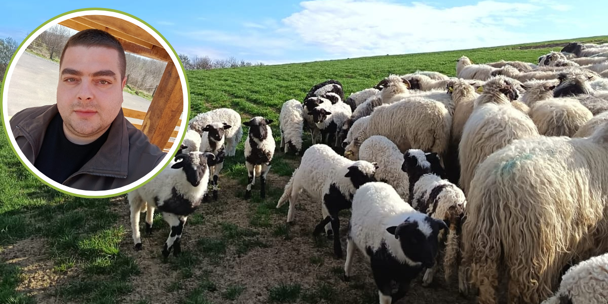 Koliko ćemo ove godine platiti uskrsnu janjetinu? Ovčar s Bilogore otkriva cijenu omiljene blagdanske delicije