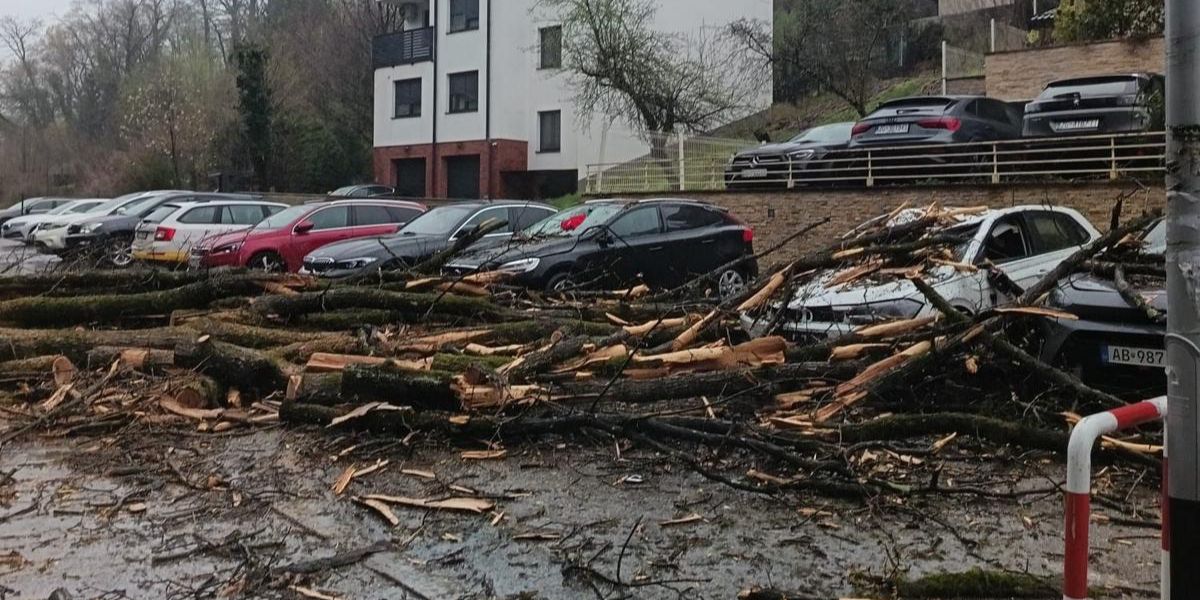 Krenule prijave šteta od olujnog nevremena, evo kako ih prijaviti