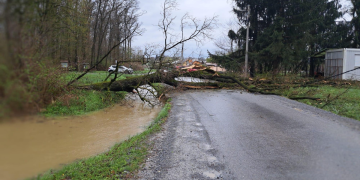 Pojedini dijelovi grada odsječeni zbog srušenih stabala i obilnih oborina