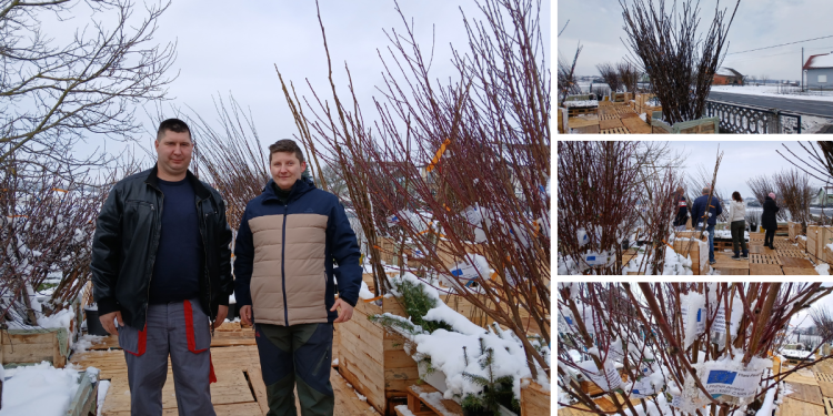 Farmaceutsku industriju u Njemačkoj zamijenila poslom na našem selu: Danas prodaje 30-ak sorti voćki