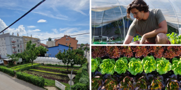 Istraživanje ljudskog ponašanja zamijenio salatom i stvorio urbanu poljoprivrednu priču