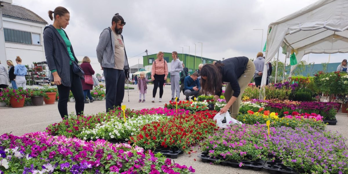 Cvijeće, starine i okusi tradicije: Ovo mjesto ponovno postaje centar sajamskih zbivanja, a ulaz je besplatan