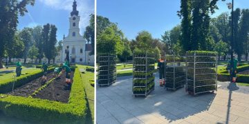 Započela velika proljetna sadnja cvijeća, evo što se sve sadi