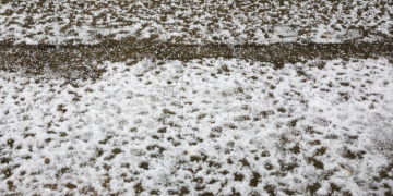 Nevrijeme na sjeveru: Evo koje dijelove zemlje je pogodila tuča