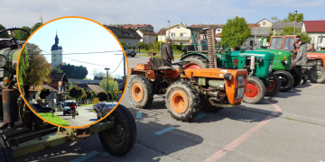 Općina poziva na pregled limenih ljubimaca na terenu