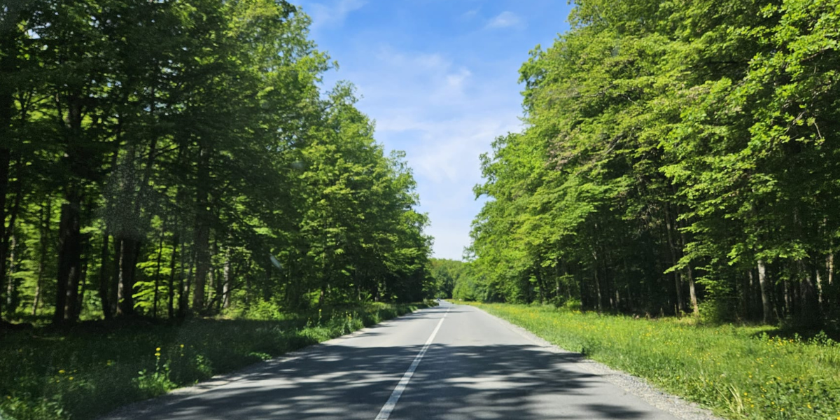 Smrtonosna prijetnja iz šume: Ova bolest oponaša rak, u županiji zabilježeno 7 slučajeva