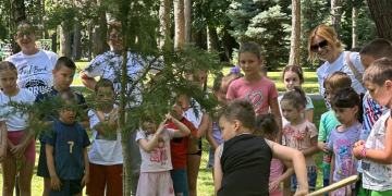Borik dobio novo stablo, evo zašto je jako važno