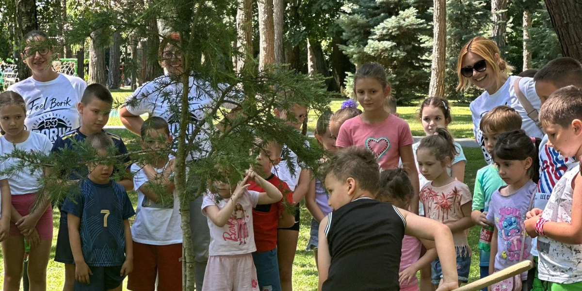 Borik dobio novo stablo, evo zašto je jako važno