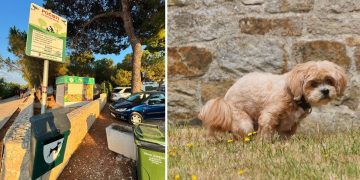 Ne pokupite li izmet svog psa, mogli biste skupo platiti: Evo kolike su kazne