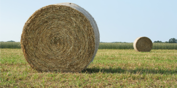 Iskrenje iz auspuha traktora zapalilo rolo bale