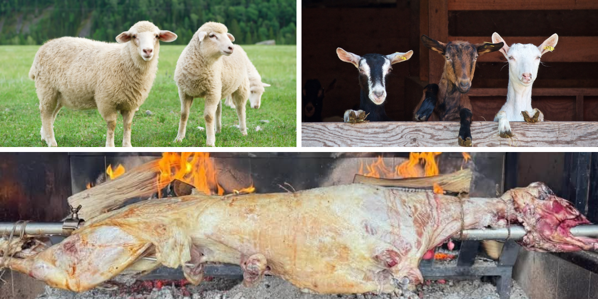 Odobrena potpora za mlijeko i prodaja mesa uz jedan veliki ali