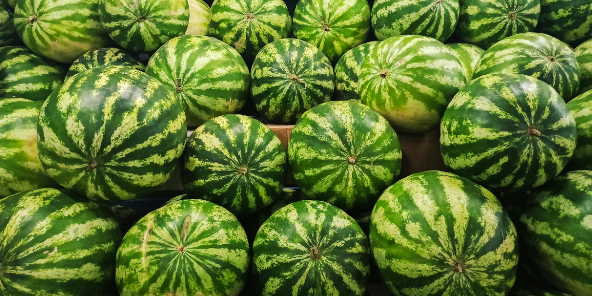 Kako odabrati savršenu lubenicu? Nekoliko jednostavnih trikova koje vrijedi zapamtiti