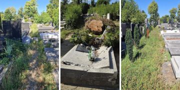 Na najpoznatijem hrvatskom groblju prizori koji rastužuju: “U otvorene grobnice ulaze životinje. Ovo je strašno.”