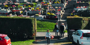 Jedno drvo već stoljećima sade na grobljima. Znate li zašto?