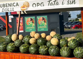 Zaboravite kucanje po lubenici! OPG-ovac otkrio kako u nekoliko sekundi prepoznati zrelu i slatku