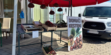 Prvi kesteni stigli u grad, evo pokojoj ih cijeni možete kupiti