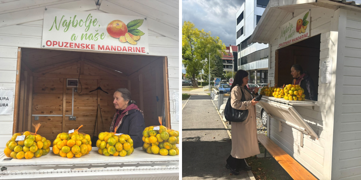 Mandarine iz doline Neretve su stigle, evo koliko ove godine košta omiljeno jesensko voće