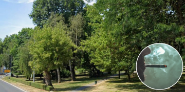 Djeci u Ljubavnom parku prodavao travu, zaradio 1430 eura
